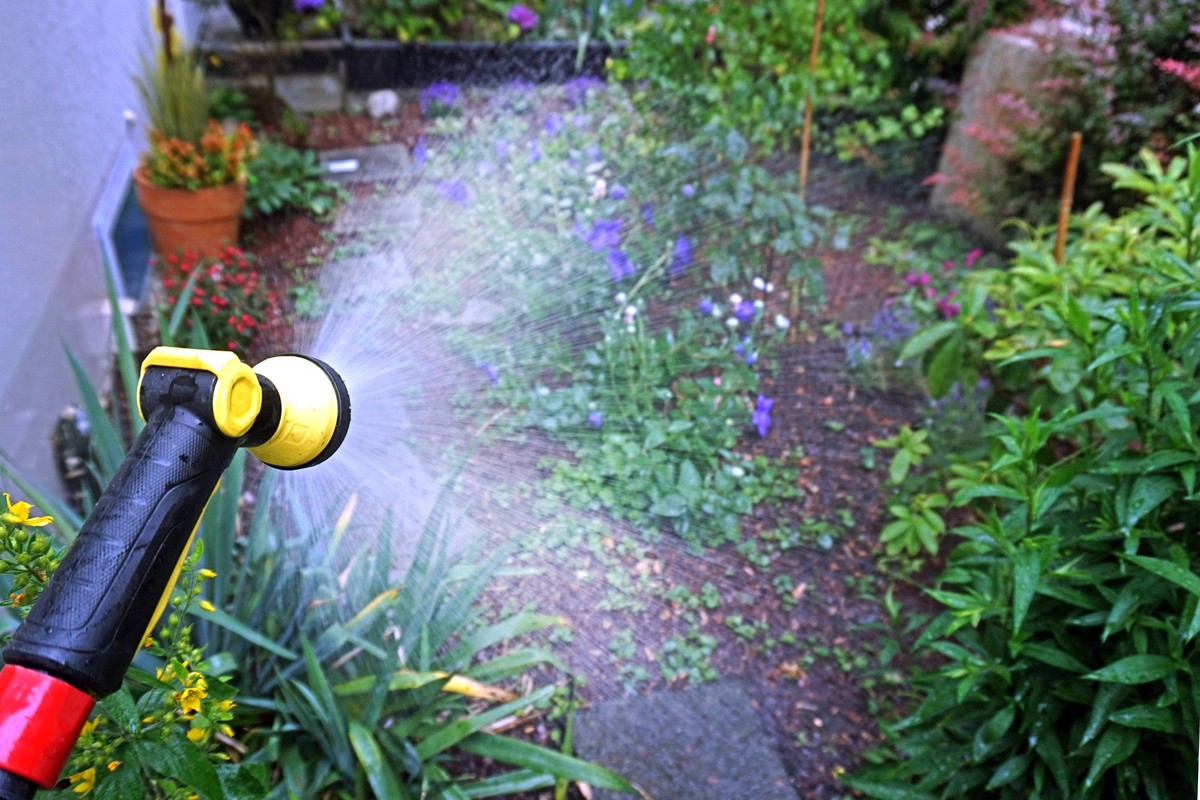 Der Garten sollte erst abends gewässert werden.
