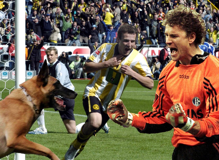 Vom Hundebiss bis zum Torwart-Tor – die 6 besten Revierderbys im Ranking