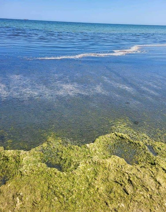 Dieses Bild hat offenbar ein Urlauber auf Rügen aufgenommen.