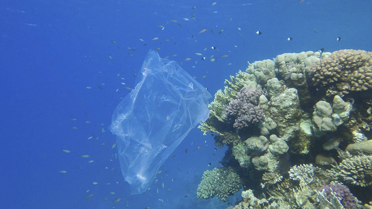 Plastikverschmutzung des Ozeans, eine weggeworfene Plastikt