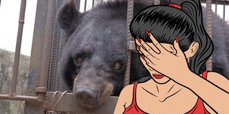 Vorsicht beim Hunde-Kauf – und herzlich Willkommen beim "Fail-Freitag"!
