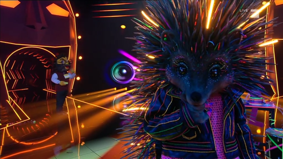 Hedgehog ha uno stretto rapporto con suo padre nei film di allusione.