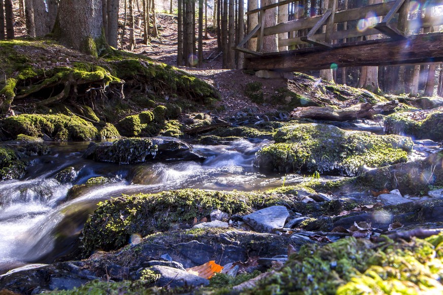 Das Naturschutzgebiet Kluckbachtal liegt im Gebiet der Stadt Monschau St