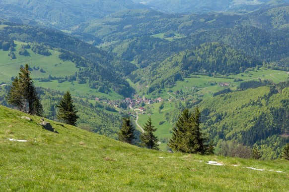 Hiking in the Black Forest in spring