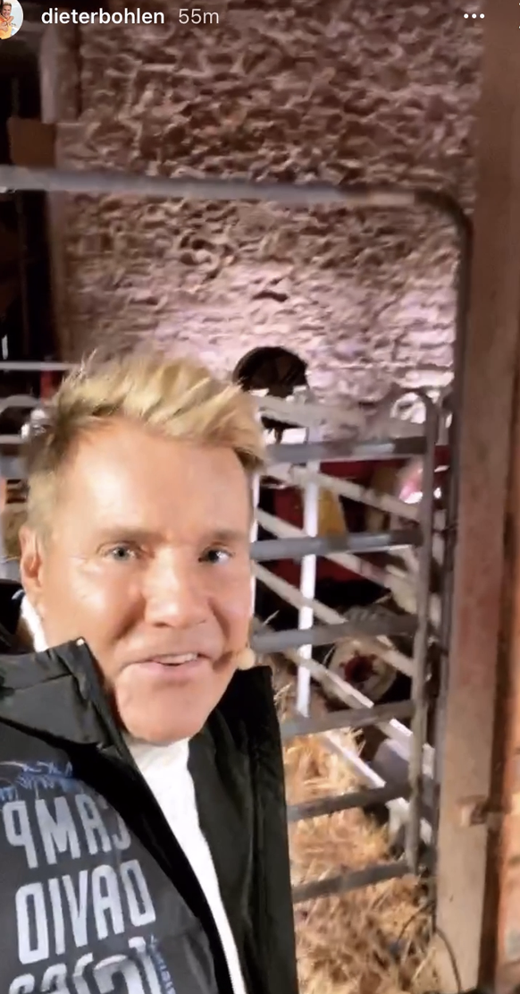 Dieter Bohlen in der Scheune: Hier präsentiert er noch mal die Kuh Michael.