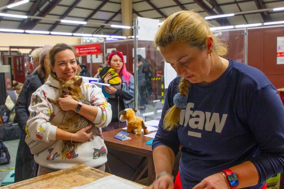 The Premysl train station houses a refugee center and veterinary post where Ukrainian refugees&#039; pets are examined and treated.