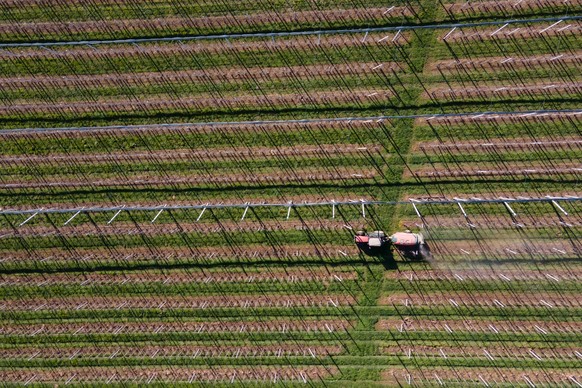 12.04.2023, Sachsen, Dohna: Silvio Stumpf, Landwirt, verteilt mit einem Sprühgerät auf einer Apfelplantage Düngemittel (Luftaufnahme mit einer Drohne). Foto: Sebastian Kahnert/dpa +++ dpa-Bildfunk +++
