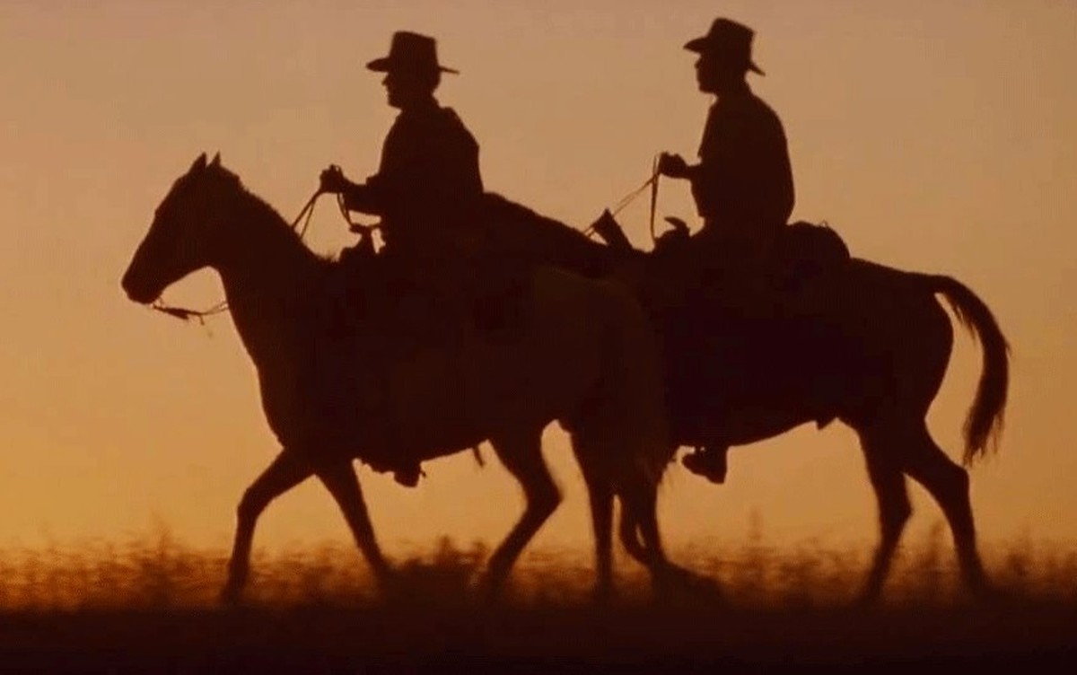 Der Western wartet mit starken Bildern auf.