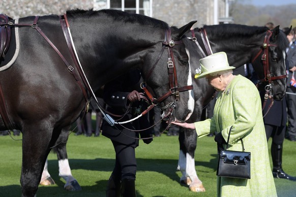 . 28/03/2019. Somerset, United Kingdom. HM The Queen visits Somerset. The Queen Elizabeth II visits Kings Bruton to mark the Schools 500th anniversary and open the new Music Centre. Her Majesty will a ...