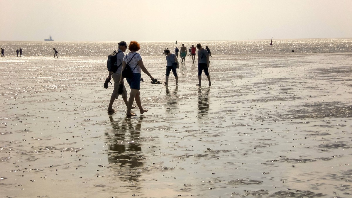 Urlauber wandern durch bei Ebbe das Watt in Büsum in Schleswig-Holstein. Büsum Niedersachsen Deutschland *** Holidaymakers wander through the tidal flats at low tide in Büsum in Schleswig Holstein Büs ...
