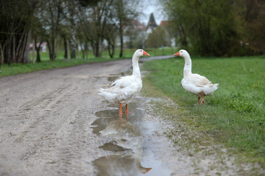 Zuletzt gab es sogar Glättegefahr auf den Straßen.