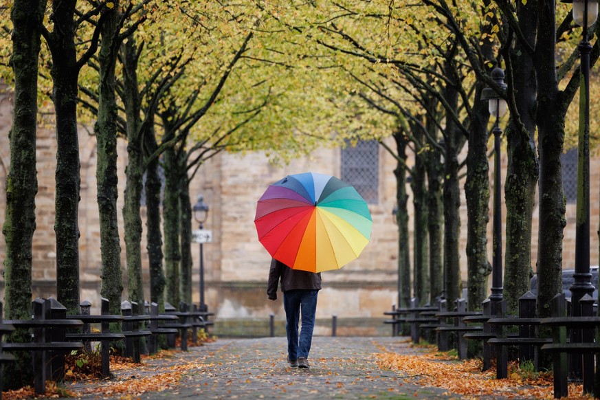 20.10.2023, Niedersachsen, Osnabrück: Ein Mann geht mit einem regenbogenfarbenen Regenschirm durch eine Allee mit Bäumen, die Herbstlaub tragen. Unfreundlich mit Regen und Temperaturen unter 10 Grad C ...