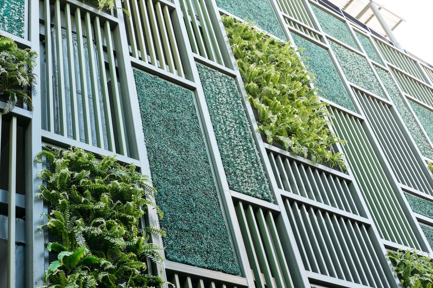 Green facade, vertical garden in architecture