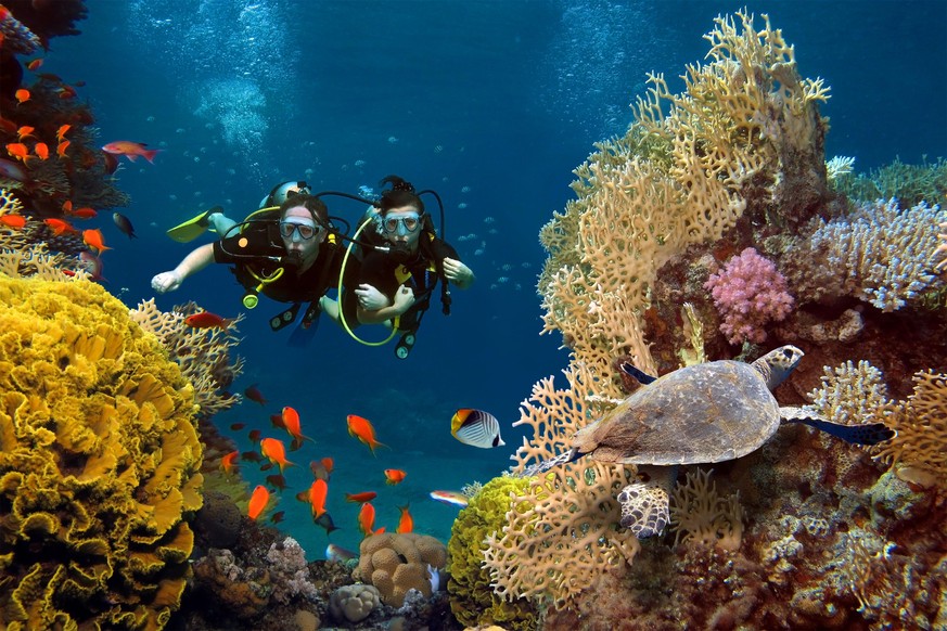 The loving couple dives among corals and fishes in the ocean