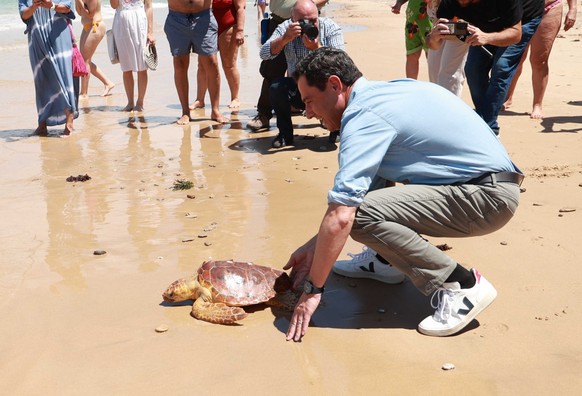16.06.2023, Spanien, Cádiz: Juanma Moreno, Ministerpräsident der Regionalregierung von Andalusien, wildert eine Unechte Karettschildkröte in Cadiz aus. Die Schildkröte wurde in einem Zentrum für Meere ...