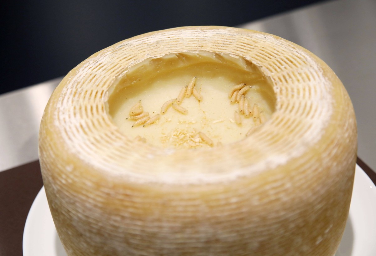 28.05.2021, Berlin - Deutschland. Im Disgusting Food Museum gibt es allerhand Essen zum Ekeln oder drüber nachdenken. Das ist Casu Marzu, ein Madenkäse aus Italien. *** 28 05 2021, Berlin Germany The  ...