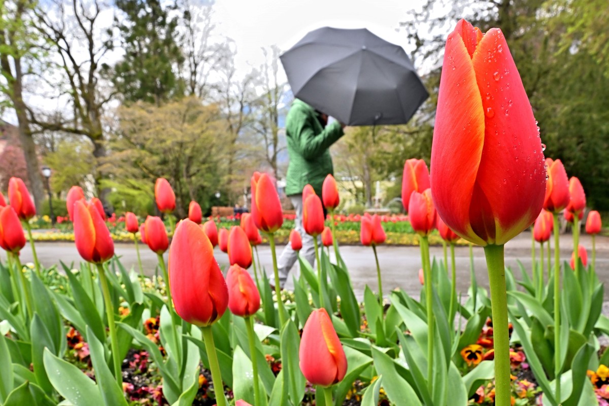 Wer zum Wochenende einen Spaziergang machen will, muss vielerorts mit Regen rechnen.
