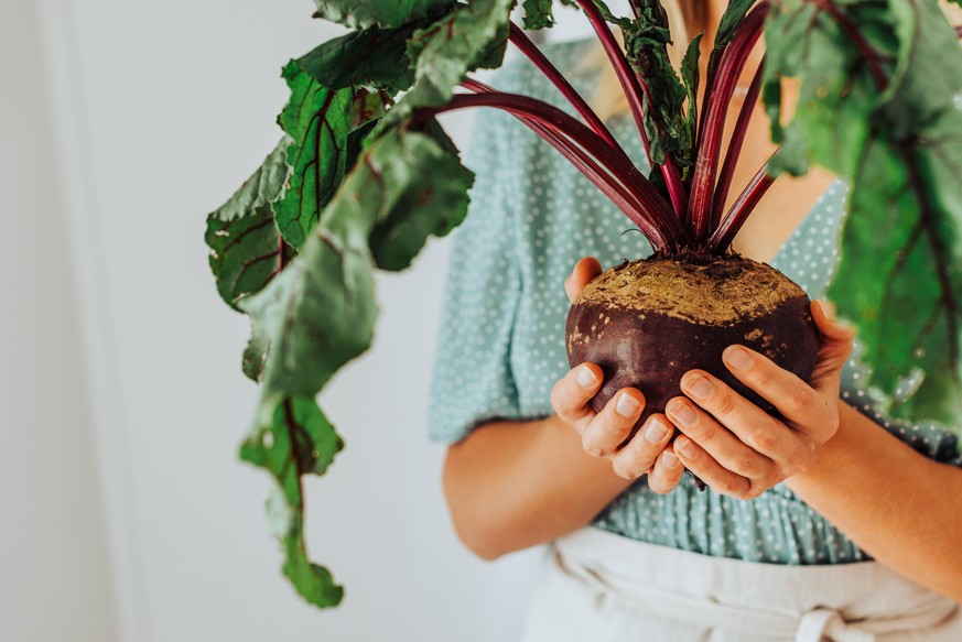 Close up of female hands holding beetroot with leaves Lisbon, Lisbon, Portugal PUBLICATIONxINxGERxSUIxAUTxONLY CR_OLMO200715-420689-01 ,model released, Symbolfoto