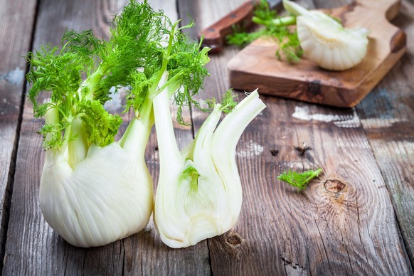 Fresh organic fennel on wooden dark table