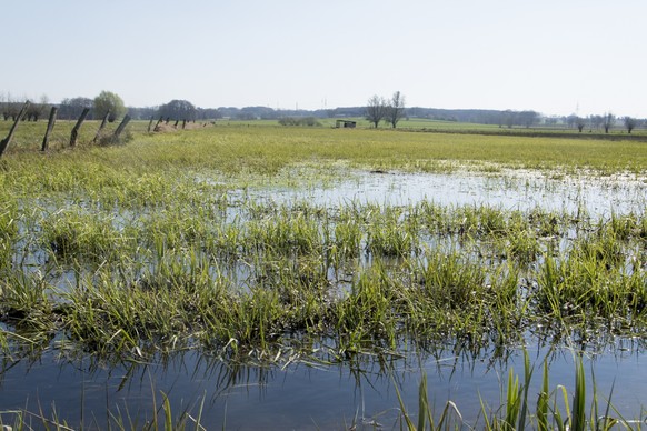 Flooding in the wet meadows of the Bünde district of Hüffen in East Westphalia.