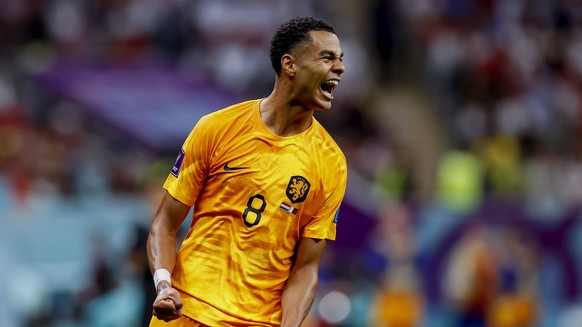 AL KHOR - Cody Gakpo of Holland celebrates the 1-0 against Qatar during the FIFA World Cup, WM, Weltmeisterschaft, Fussball Qatar 2022 group A match between Netherlands and Qatar at Al Bayt Stadium on ...