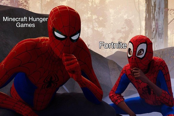 "Minecraft Hunger Games" und "Fortnite"