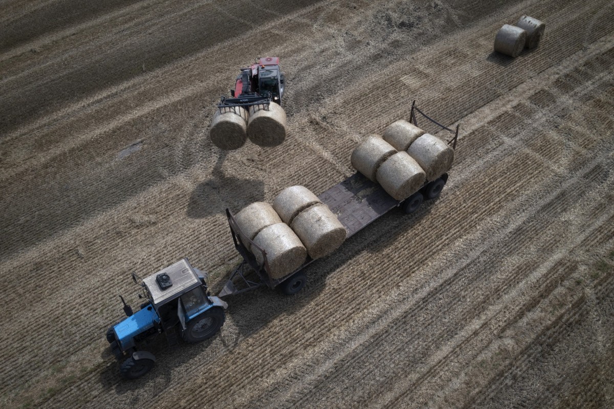 ARCHIV - 10.08.2023, Ukraine, Zhurivka: Ein Traktor sammelt Stroh auf einem Feld in einem privaten Bauernhof. Putin und Erdogan treffen sich zu Gesprächen in Sotschi am Schwarzen Meer. Bei dem Treffen ...