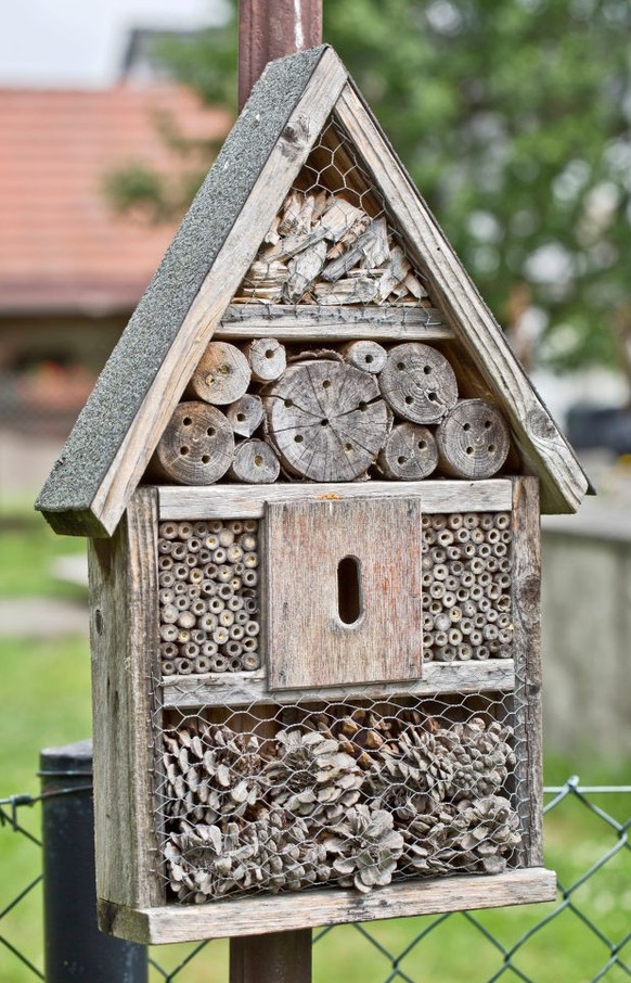 GOERLITZ, Germany - JUNE 26: Insect hotel in Goerlitz, Germany, on June 26, 2021. (Photo by Frank Hoensch/Getty Images)