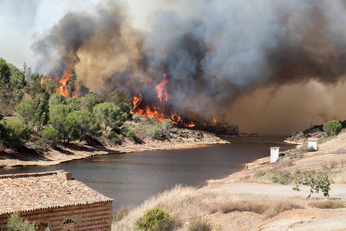 News Bilder des Tages Spanien, Waldbr