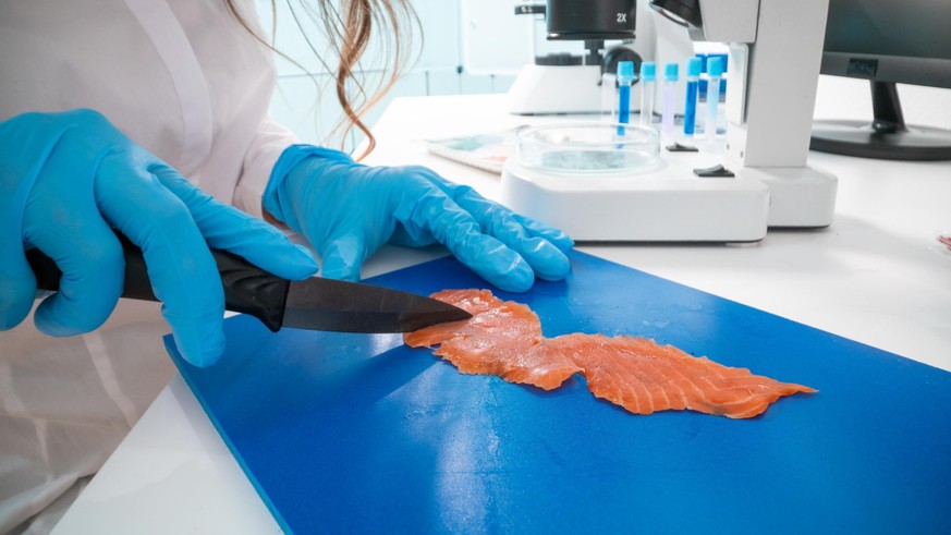 Inspection of meat and fish quality in the food quality laboratory