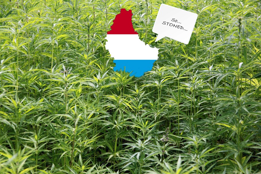 Cannabis Legalisierung Luxemburg Bereitet Erste Schritte Dazu Vor