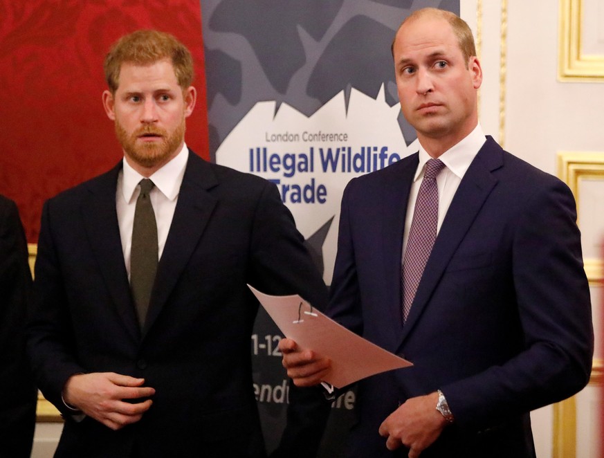 LONDON, ENGLAND - OCTOBER 10: Prince William, Duke of Cambridge (R) and Prince Harry, Duke of Sussex, host a reception to officially open the 2018 Illegal Wildlife Trade Conference at St James' Palace ...