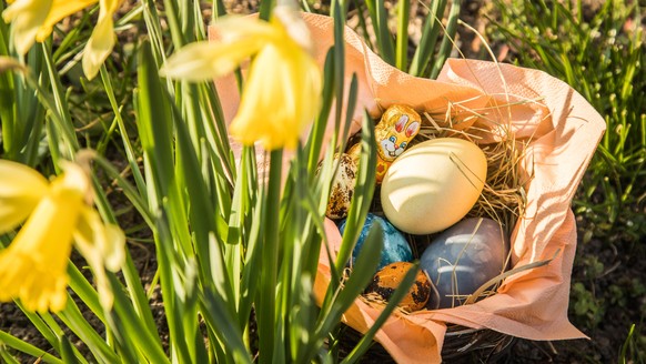 ILLUSTRATION - Ostereier in einem Koerbchen sind am 25.03.2022 in einem Garten in Wittenberge zu sehen (gestellte Szene). Foto: Christin Klose