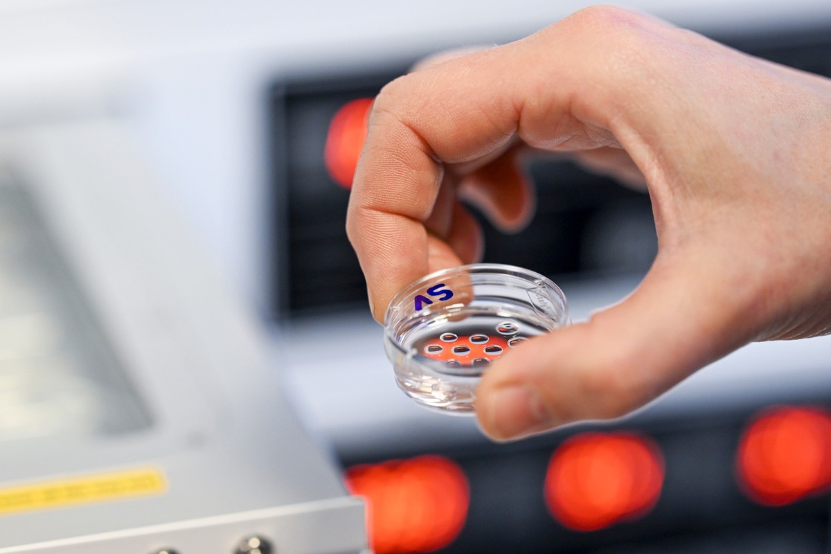 PRODUKTION - 17.01.2024, Berlin: Ein Petrischale mit befruchteten Eizellen wird im Fertility Center Berlin am Spandauer Damm in einen Inkubator gestellt. (zu dpa: «Künstliche Befruchtung: Was bringt a ...