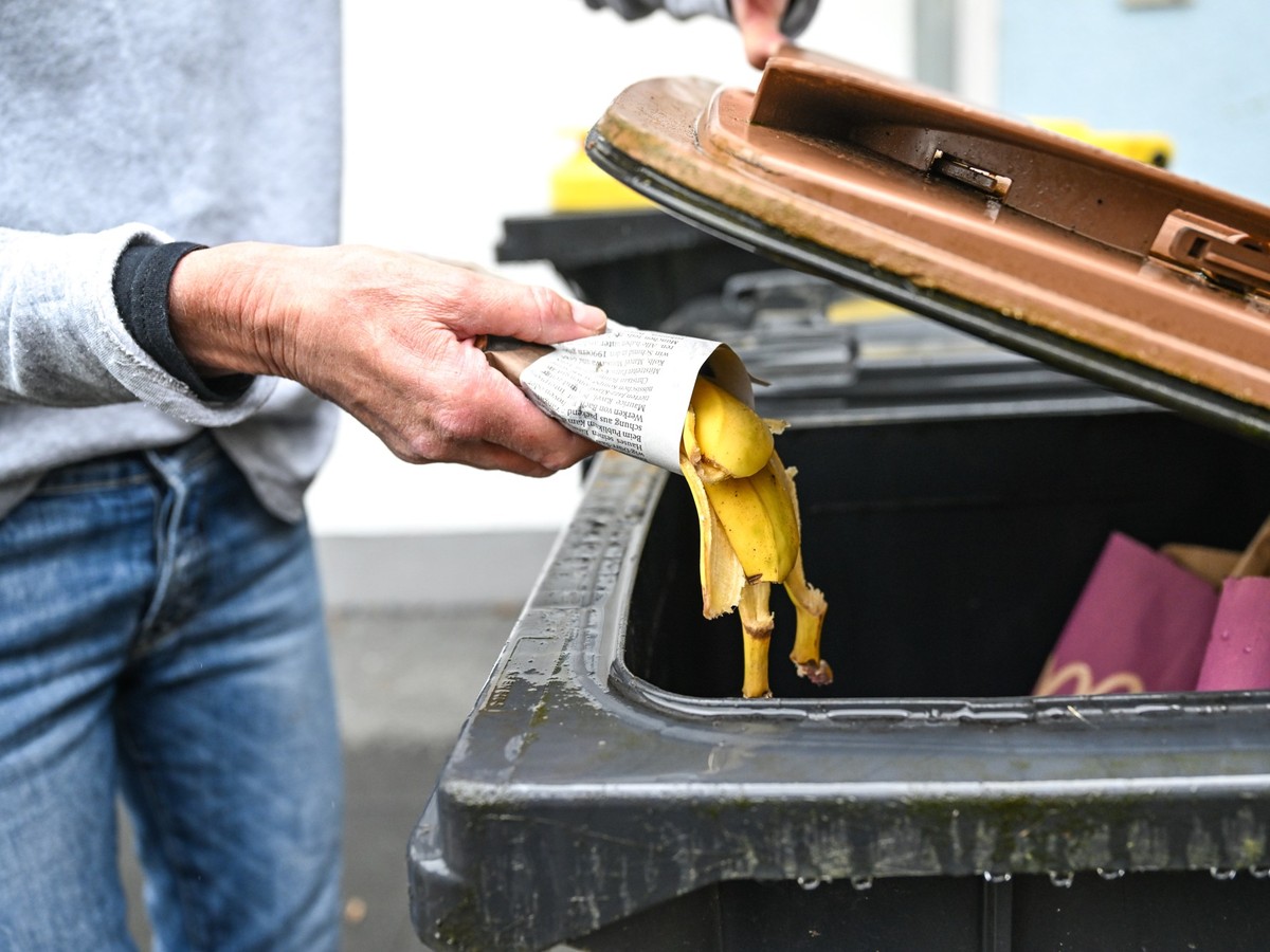 ARCHIV - 24.03.2023, Baden-Württemberg, Ravensburg: Eine Frau wirft in Zeitungspapier gewickelte Bananenschalen in eine Mülltonne für den Biomüll. (zu dpa: «Immer noch zu viel Plastik in der Biotonne» ...