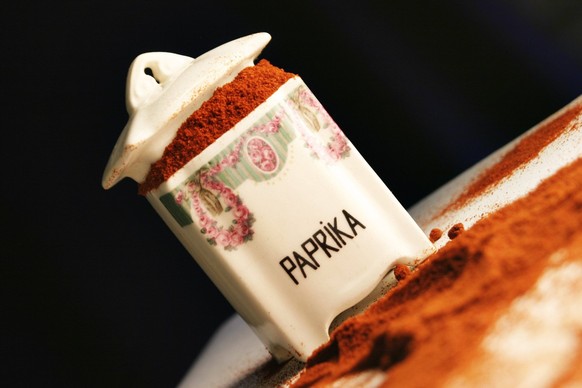 Paprikapulver in Porzellan paprika powder in porcelain BLWS641558 *** Paprika powder in porcelain paprika powder in porcelain BLWS641558 Copyright: xblickwinkel/McPHOTO/A.xSchauhuberx