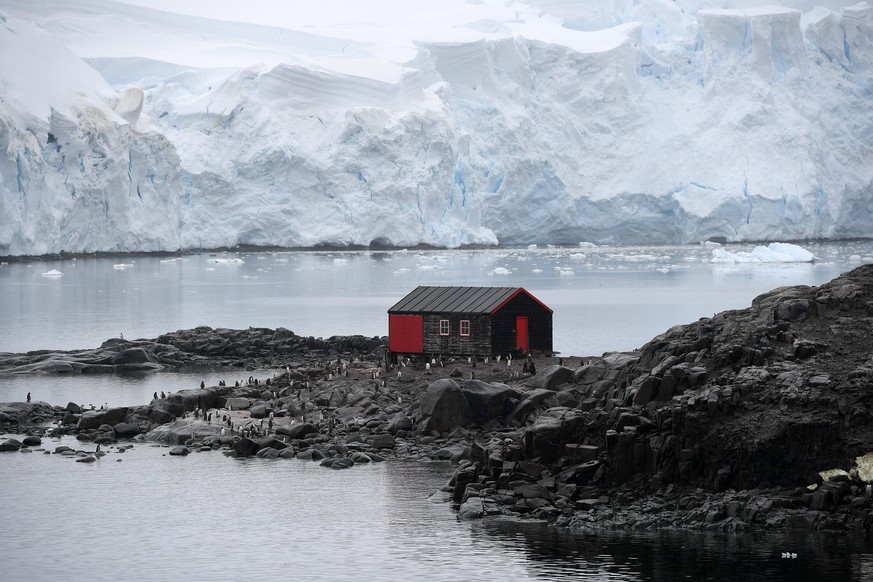 ANTARCTIQUE PORT LOCKROY PHOTOPQR/VOIX DU NORD/PIERRE ROUANET 27/02/2024 Antarctique, le 27/02/2024. Croisiere dite d expedition vers le continent blanc, la peninsule Antarctique continent austral, po ...