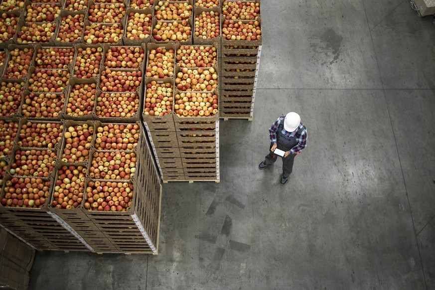 Top view of worker standing by apple fruit crates in organic food factory warehouse.