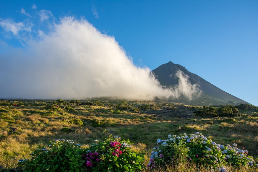 Walk on the Azores archipelago. Discovery of the island of Pico, Azores. Portugal. Madalena