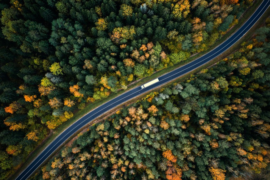 Autobahn im Wald