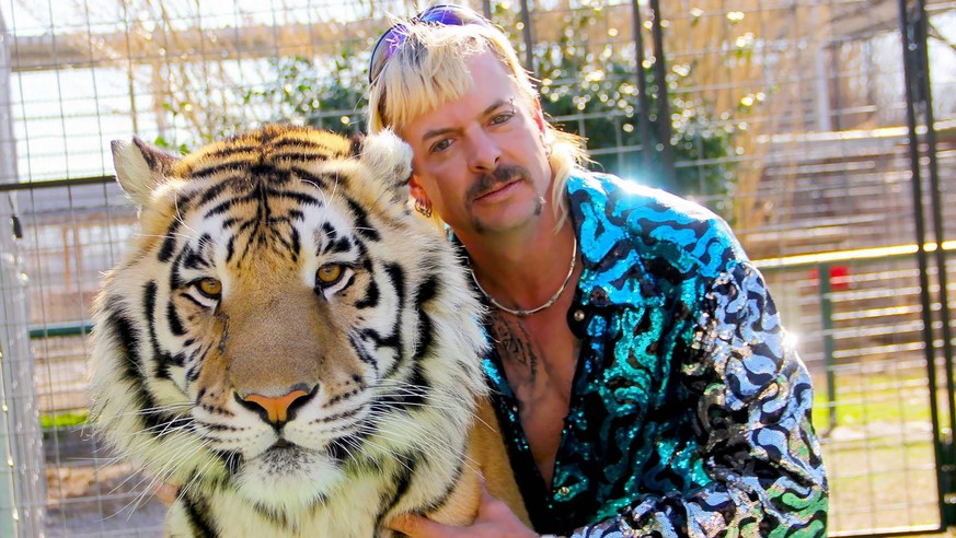 RELEASE DATE: TV Mini-Series 2020- TITLE: French Exit STUDIO: PLOT: A rivalry between big cat eccentrics takes a dark turn when Joe Exotic, a controversial animal park boss, is caught in a murder-for- ...