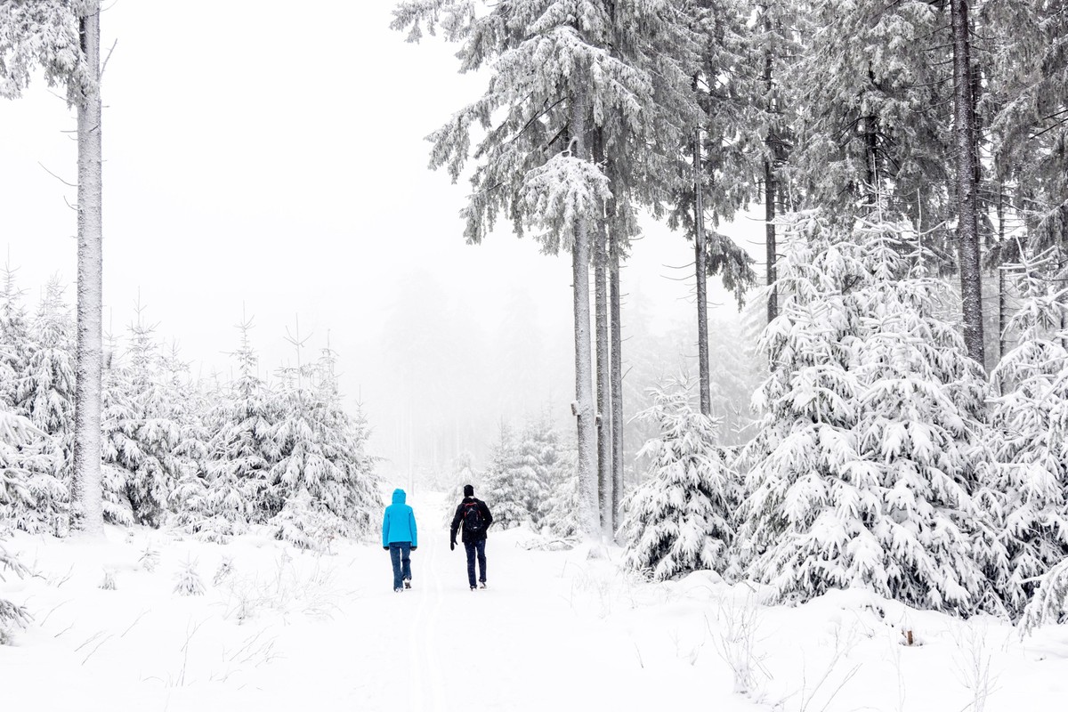 Schnee im Taunus Nach Schneef�llen in der vergangenen Nacht zeigt sich die Landschaft am Gro�en Feldberg im Taunus winterlich, die Wetterstation Feldberg/Taunus meldete am Morgen 18cm Schneeh�he., Sch ...