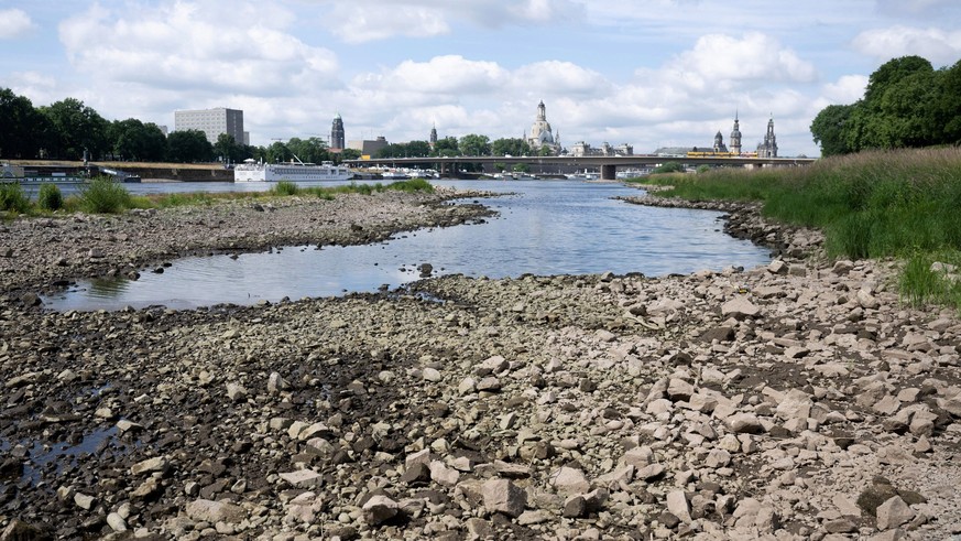 Vor der Innenstadt von Dresden liegen Steine im ausgetrockneten Flussbett der Elbe.