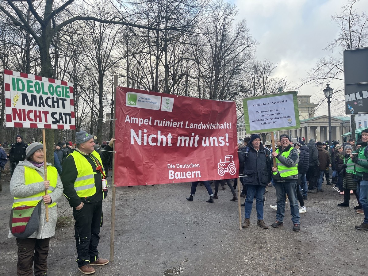 Auf vielen Plakaten wurden Neuwahlen gefordert und Kritik an der Ampel geäußert.