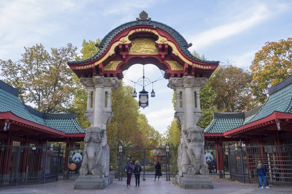 Elefantentor, zwei Steinelefanten mit asiatischem Torbogen, am 20.10.2022 am Berliner Zoo Zoologischer Garten - Berlin *** Elephant gate, two stone elephants with Asian archway, on 20 10 2022 at the B ...