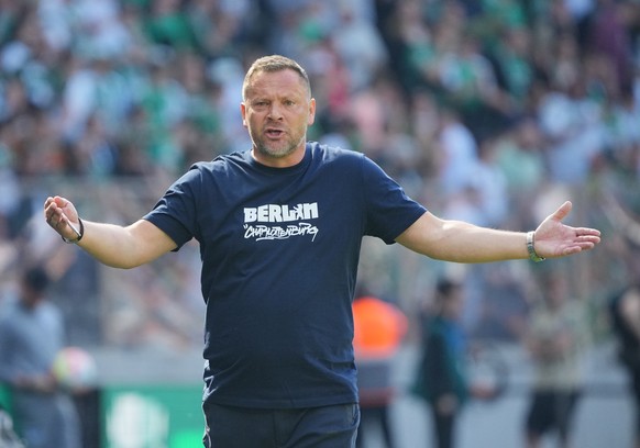 22.04.2023, Berlin: Fußball: Bundesliga, Hertha BSC - Werder Bremen, 29. Spieltag, Olympiastadion, Herthas Cheftrainer Pal Dardai breitet am Spielfeldrand die Arme aus. Foto: Soeren Stache/dpa - WICHT ...