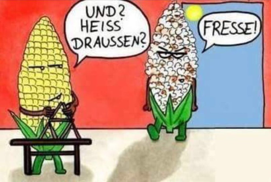 Ja, es ist heiß, aber diese 7 Witze zur Hitzewelle sind noch heißer! 