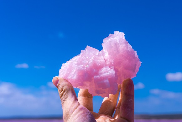 Close up of a hand holding pink natural salt crystals over blue sky. Tourist standing at the shore of scenic Pink Lake Hutt Lagoon at Port Gregory, Western Australia, WA