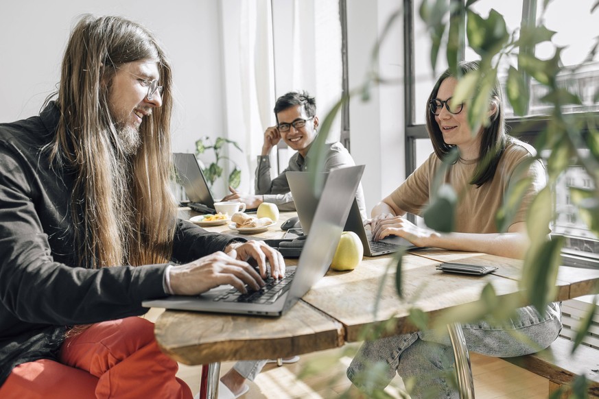 Team of IT technicians sitting at table coding on laptops in office model released, Symbolfoto property released, EVKF00107