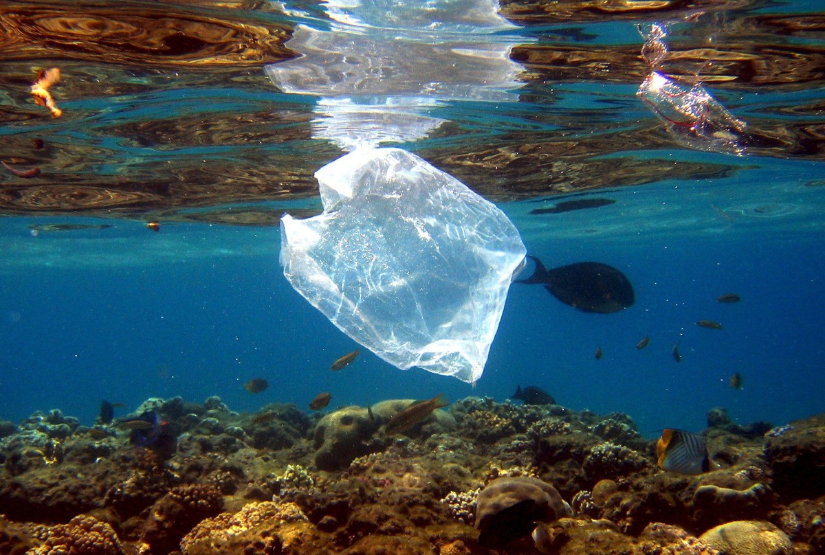ARCHIV - 01.08.2007, Ägypten, Naama Bay: Eine Plastiktüte schwimmt über Korallen im Roten Meer in Ägypten. Nach UN-Angaben wurden seit den 1950er-Jahren 9,2 Milliarden Tonnen Plastik produziert. (zu d ...